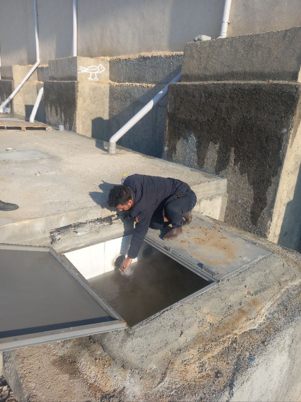 نمونه برداری